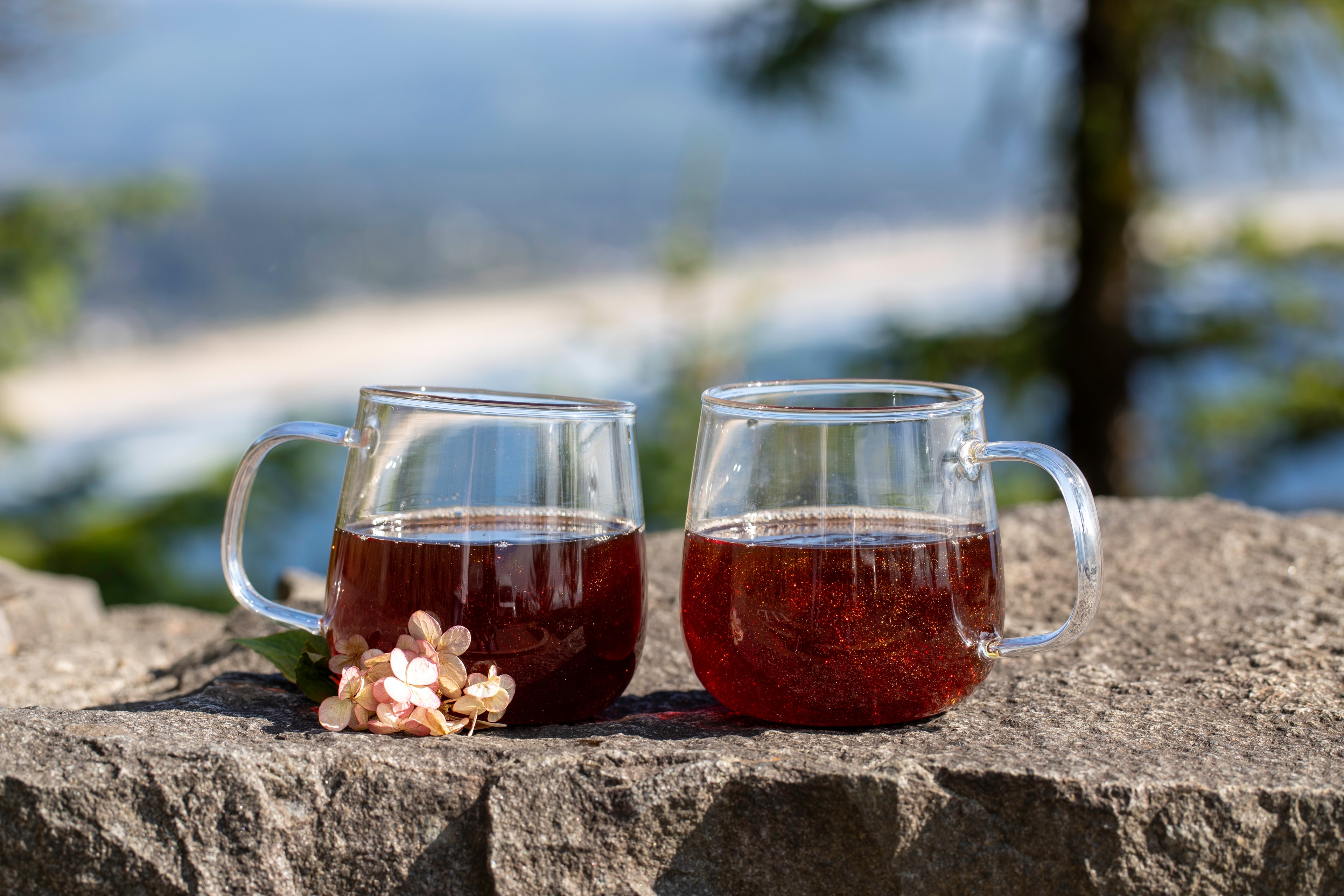Two mugs of tea overlooking a lake with pink hydrangeas